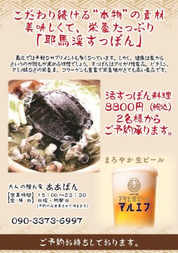 すっぽん